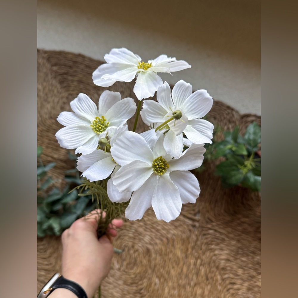 Artificial Cosmos Stems from Hearth & Hand